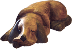 sleeping dog